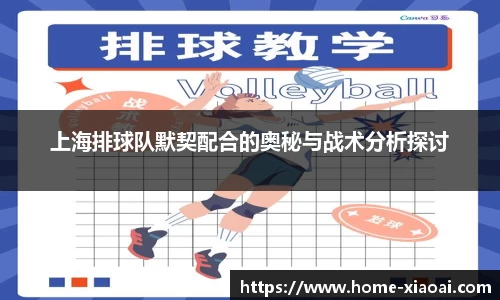 上海排球队默契配合的奥秘与战术分析探讨